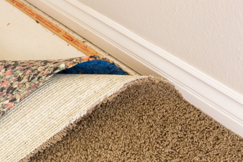Basement Carpet Replacement in Monmouth County, NJ
