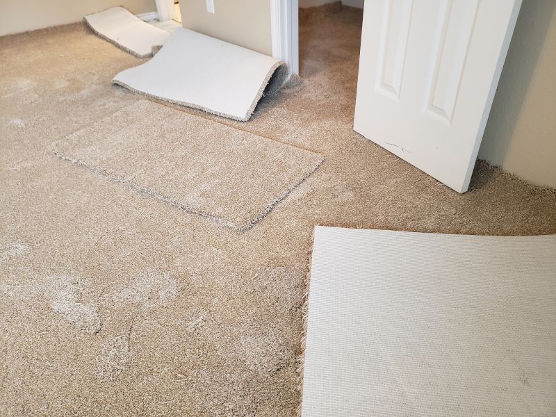Basement Carpet Stretching in Littleton, CO