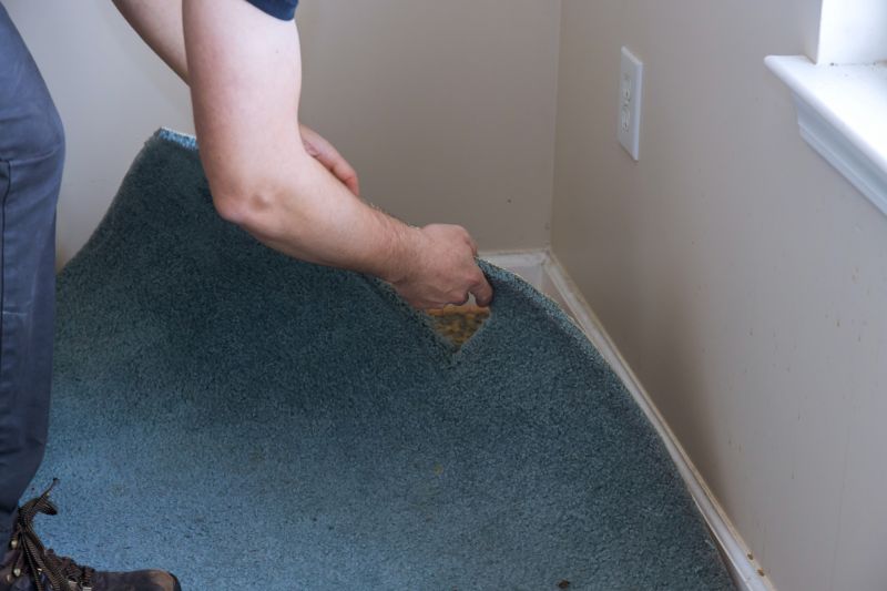 Basement Carpet Stretching in Denver County, CO