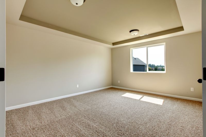 Carpet Foam Replacement in Denver County, CO