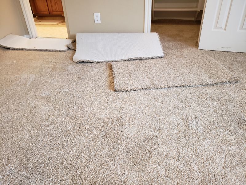 Carpet Smoothing in Overland Park, KS