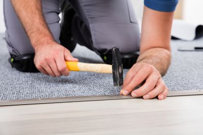 Pet Stain Carpet Repair in Alpharetta, GA