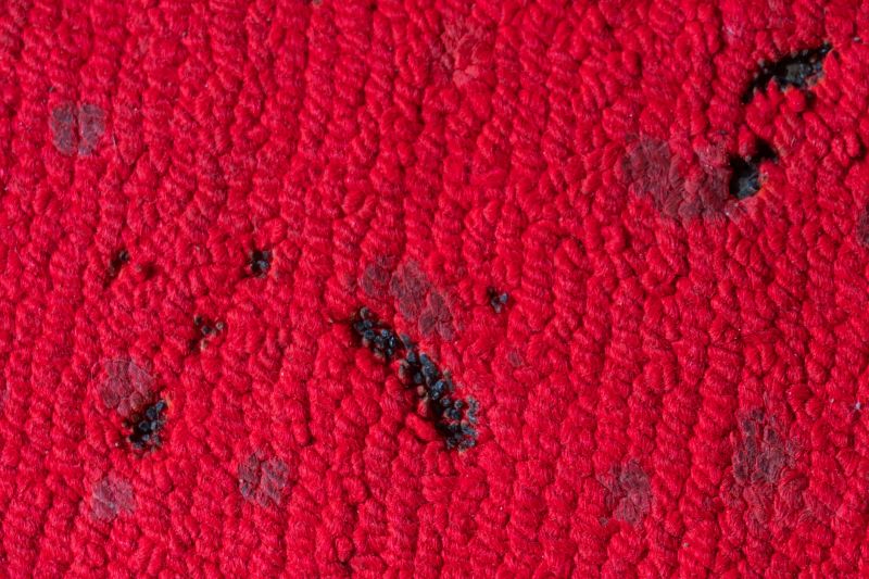Carpet Repair Promotions & Offers